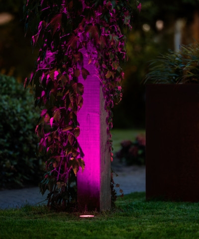 Verlichte border in tuin